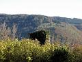 2007-10 Tubingen 015
